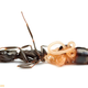 Illustration for article titled Your daily dose of nightmare fuel: squiggly ant-parasites from hell
